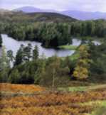 Loch Hwit Scene